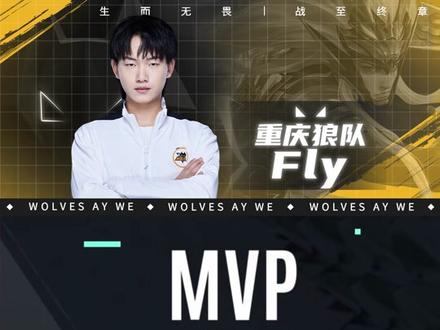 致阵容容错 致阵容容错